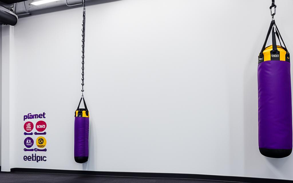 punching bags at Planet Fitness